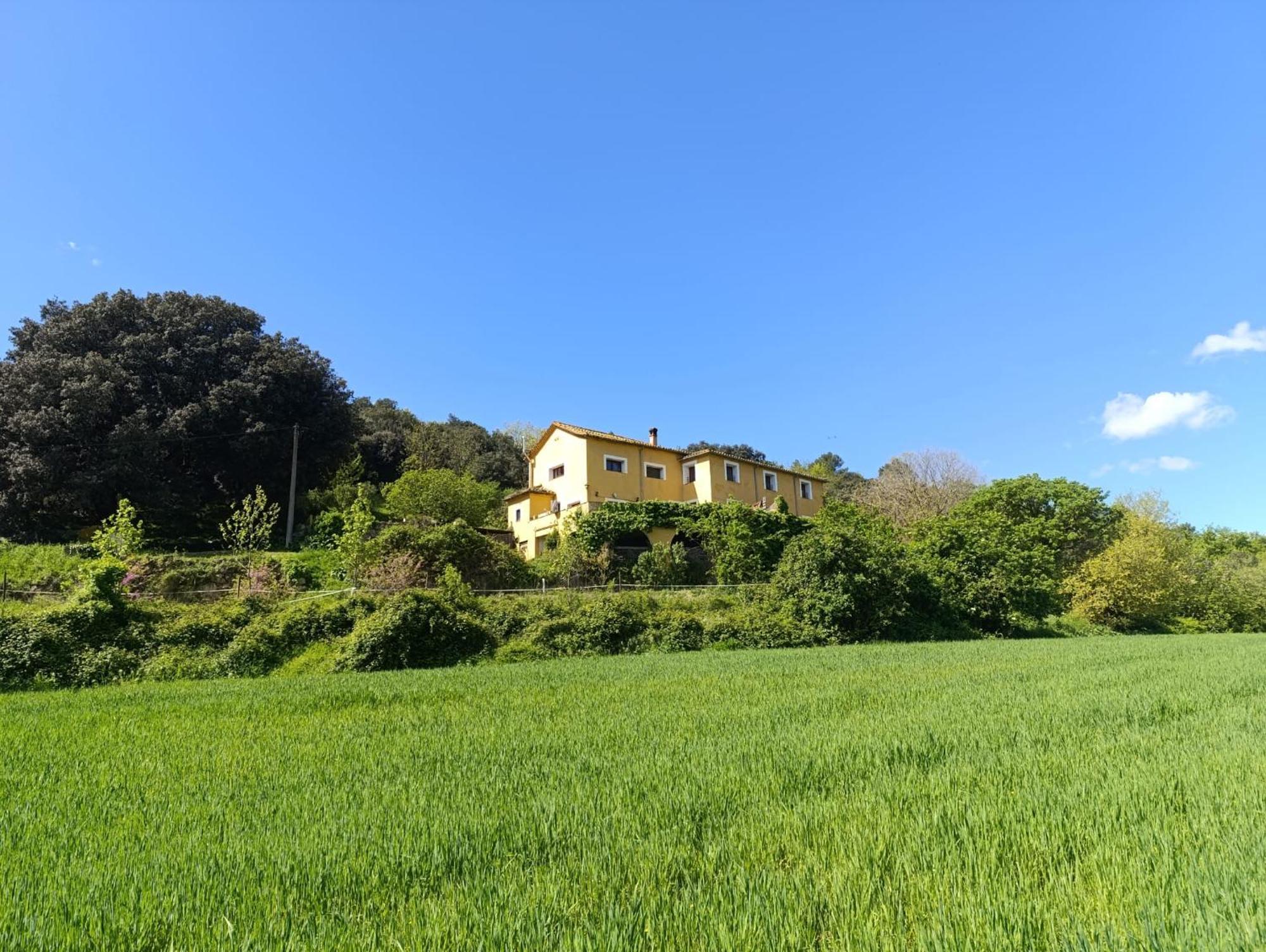 Mas Pitre Besalú Exterior foto